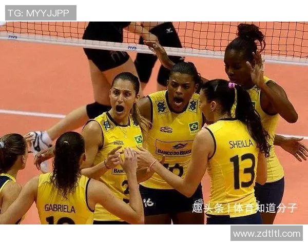 广州排球队灵活性引发热议球迷对战术调整与球员表现看法不一