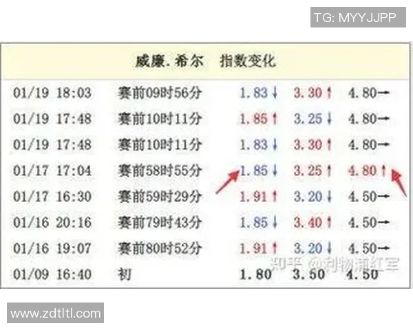 英超赛后复盘武汉羽毛球队与南京羽毛球队的战术对决分析