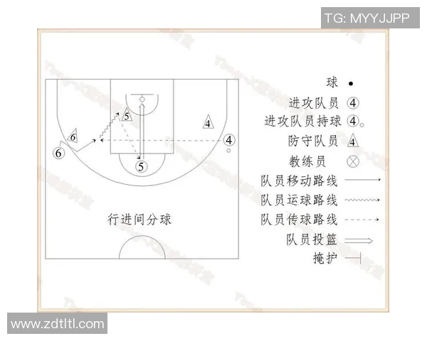 体育实时数据深入解析成都排球队的战术配合与对手的差异与优势